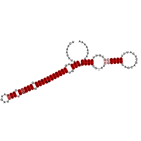 secondary structure