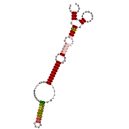 secondary structure
