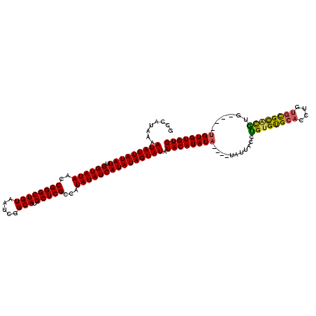 secondary structure