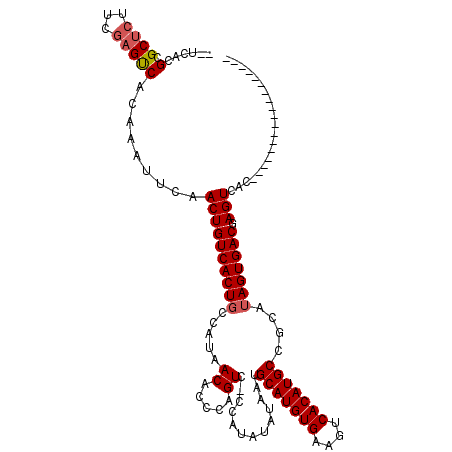 secondary structure