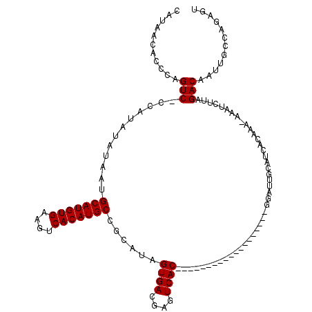 secondary structure