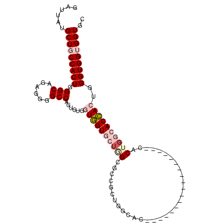 secondary structure