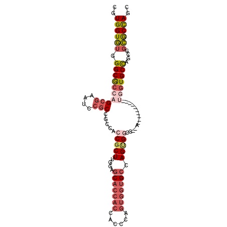secondary structure