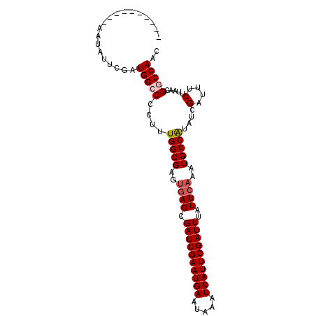 secondary structure