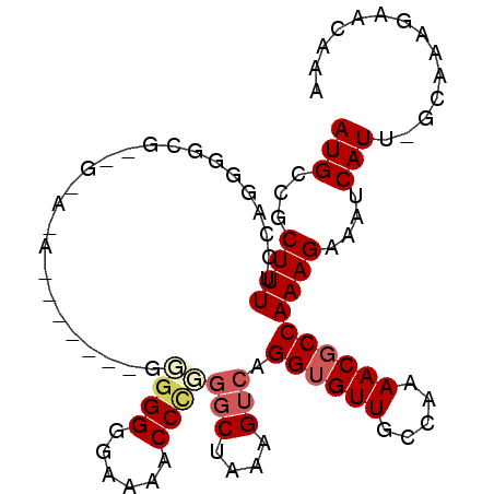 secondary structure