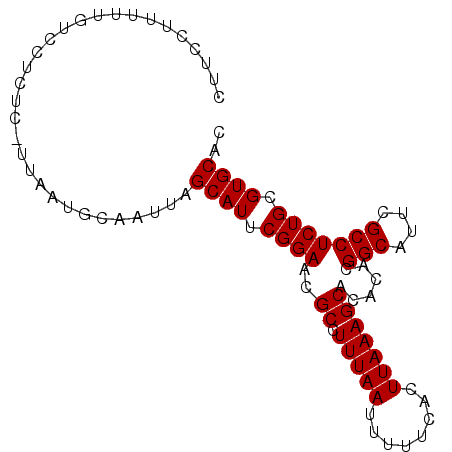 secondary structure