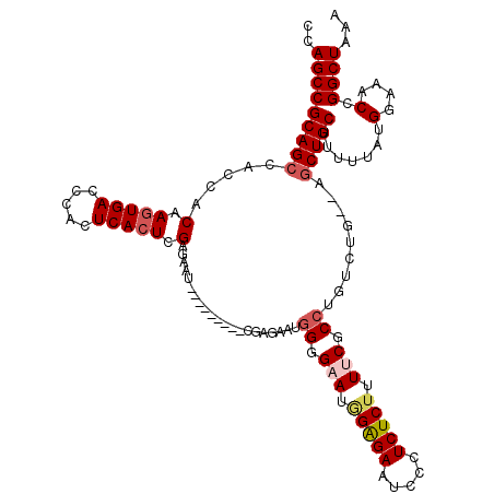 secondary structure