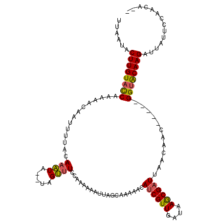 secondary structure