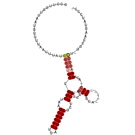 secondary structure