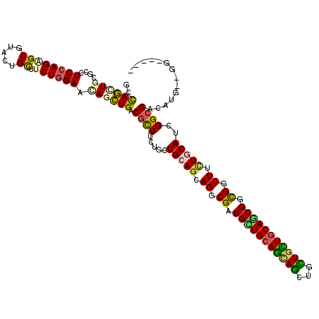 secondary structure