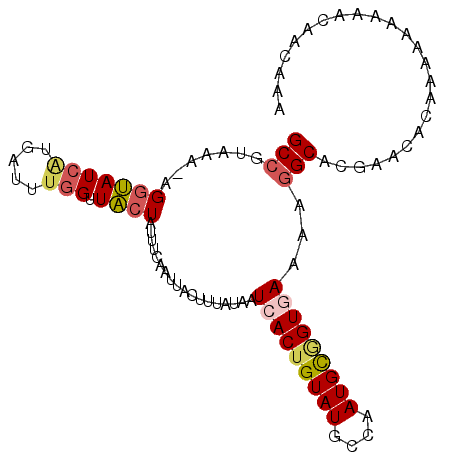 secondary structure
