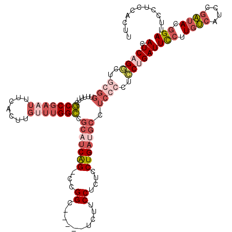 secondary structure
