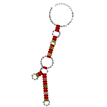 secondary structure