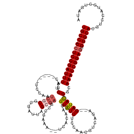 secondary structure