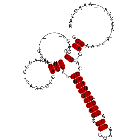secondary structure