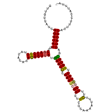 secondary structure