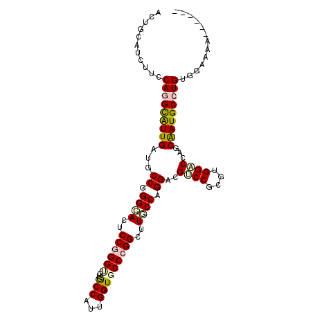 secondary structure