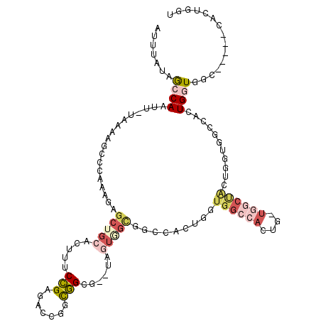 secondary structure