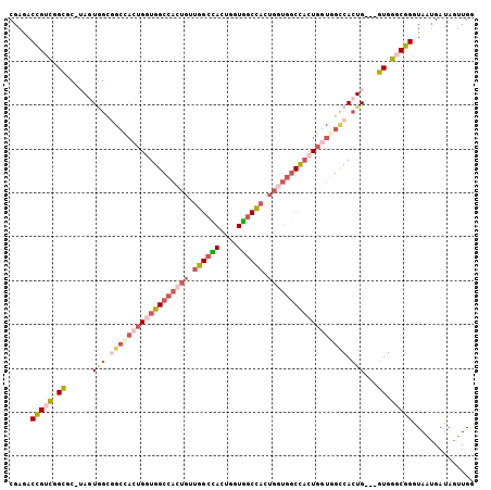 dotplot