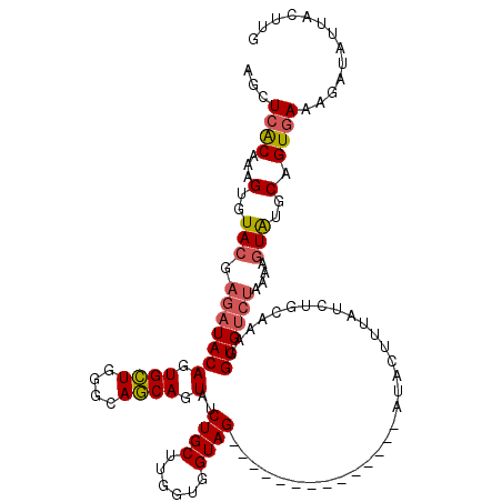 secondary structure