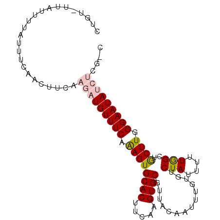 secondary structure