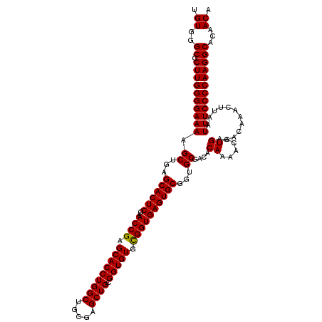 secondary structure