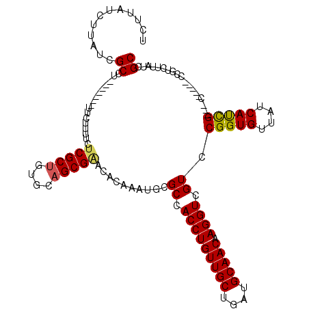secondary structure