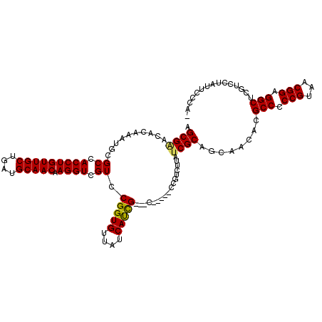secondary structure