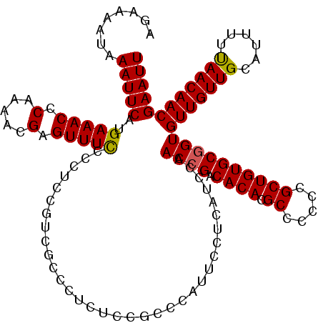 secondary structure