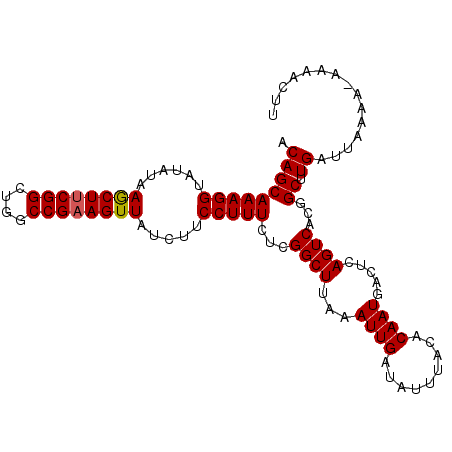 secondary structure
