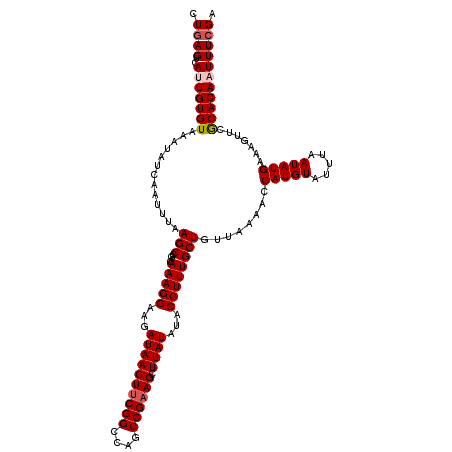secondary structure