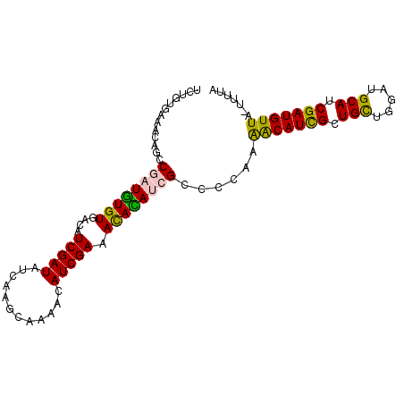 secondary structure
