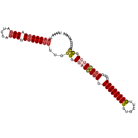 secondary structure