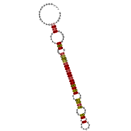 secondary structure