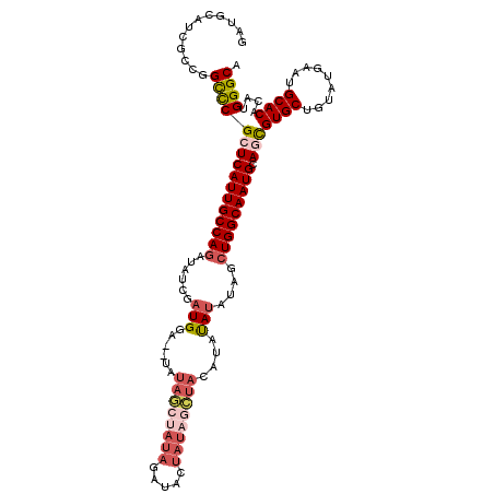 secondary structure