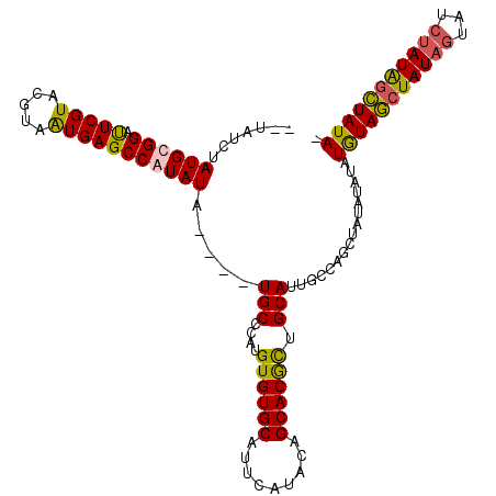 secondary structure