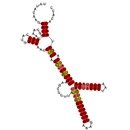 secondary structure