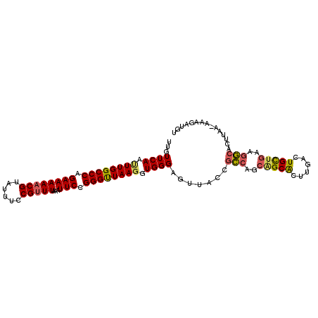 secondary structure