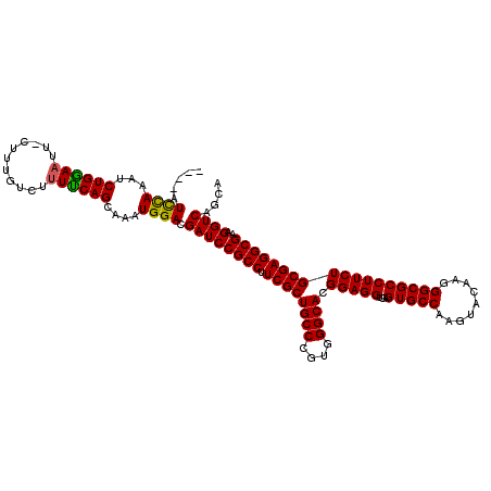 secondary structure