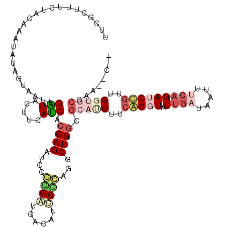 secondary structure