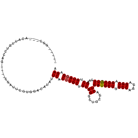 secondary structure