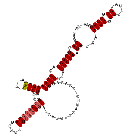 secondary structure
