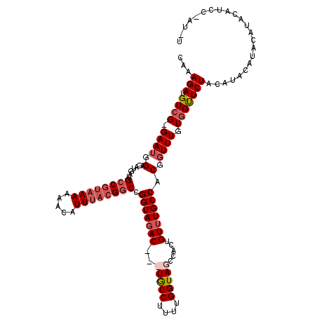 secondary structure