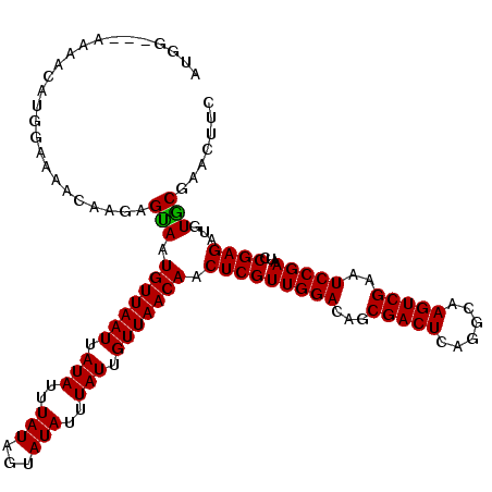 secondary structure