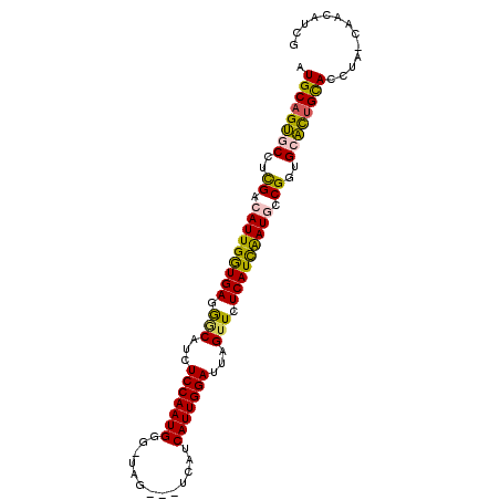 secondary structure