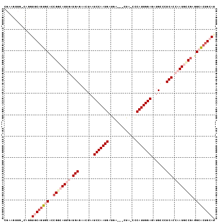 dotplot