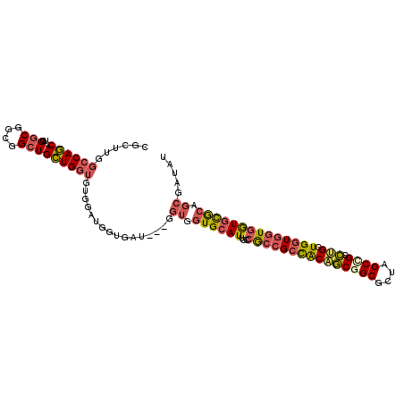 secondary structure