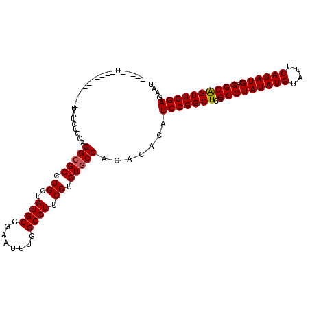 secondary structure