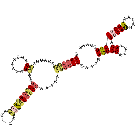 secondary structure