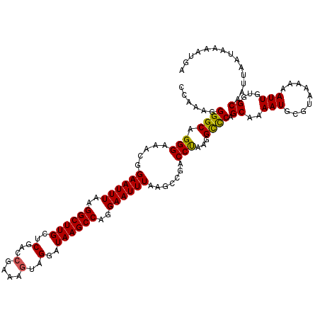 secondary structure